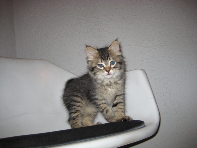 bojie-in-chair.jpg