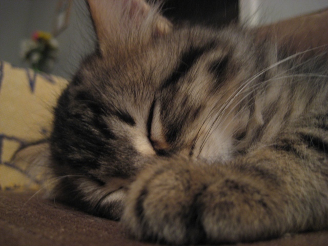 too-cute.jpg